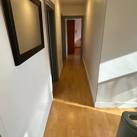 Proche Aeroport Appartement Blotzheim